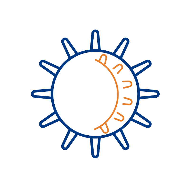 CMV Cytomegalovirus