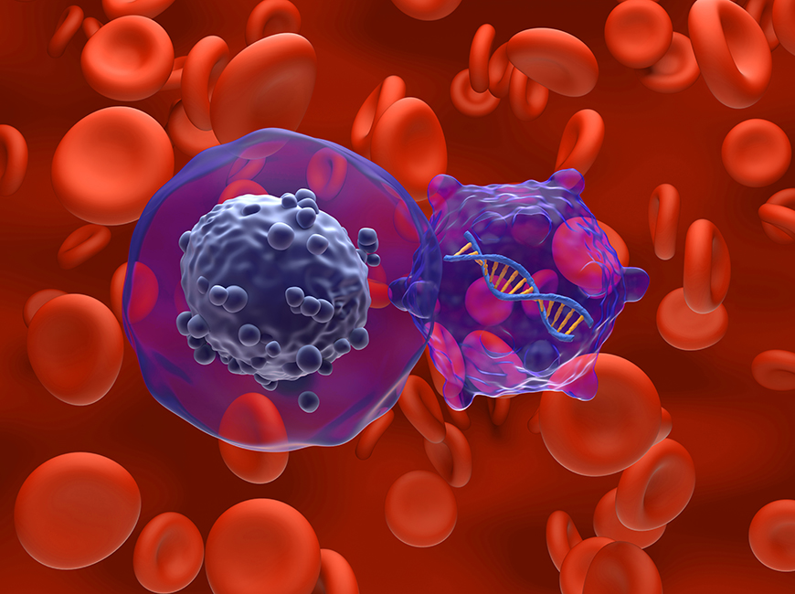 Providing Insights Into Cancer Treatment Success