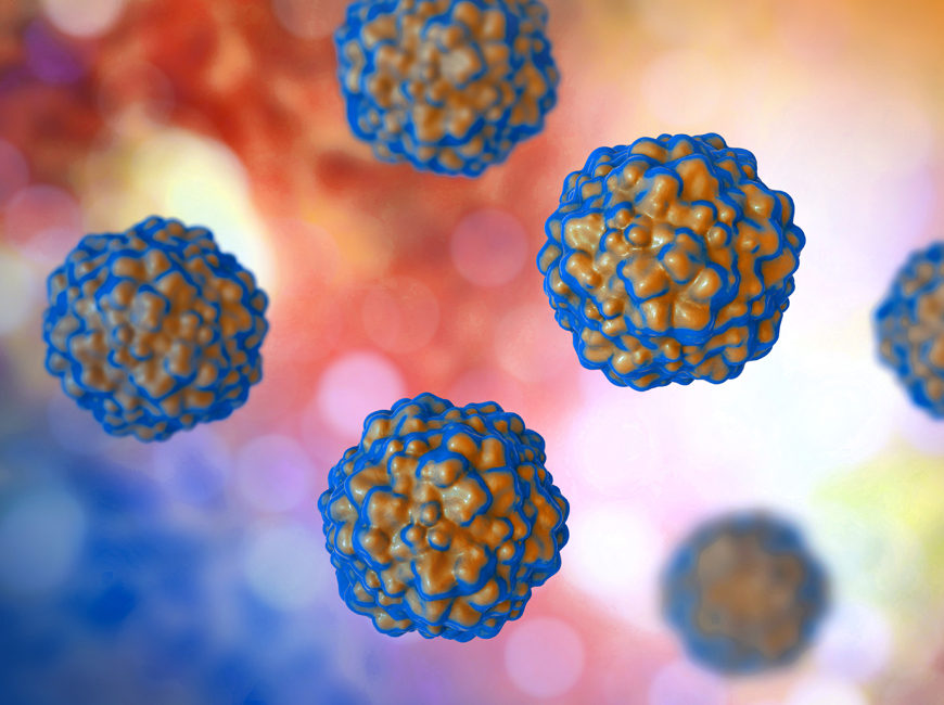 TTV (Torque Teno Virus) Testing