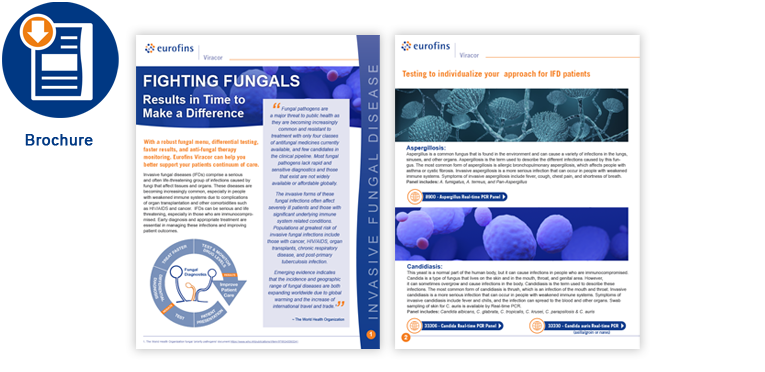 Fighting Fungals Comprehensive Brochure