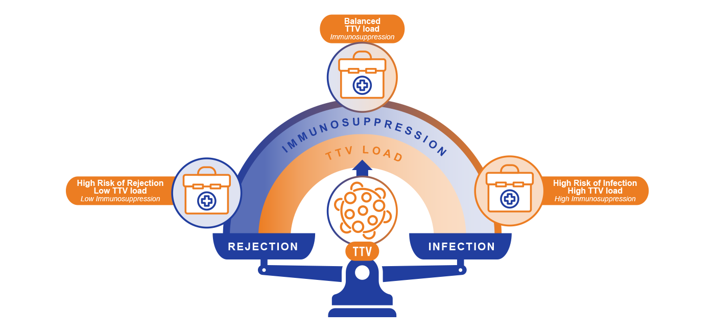 TTV Risk Stratification Diagram